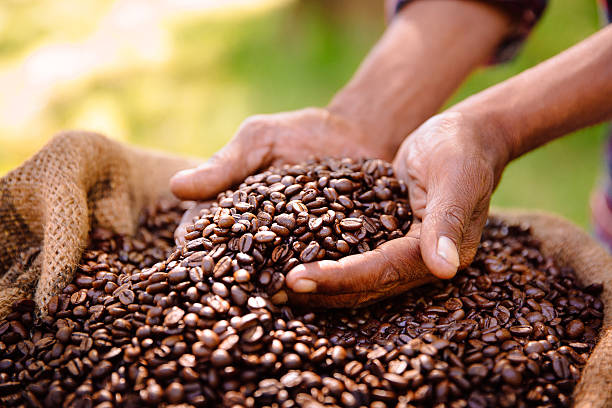 La forme du caf&eacute; torr&eacute;fi&eacute;